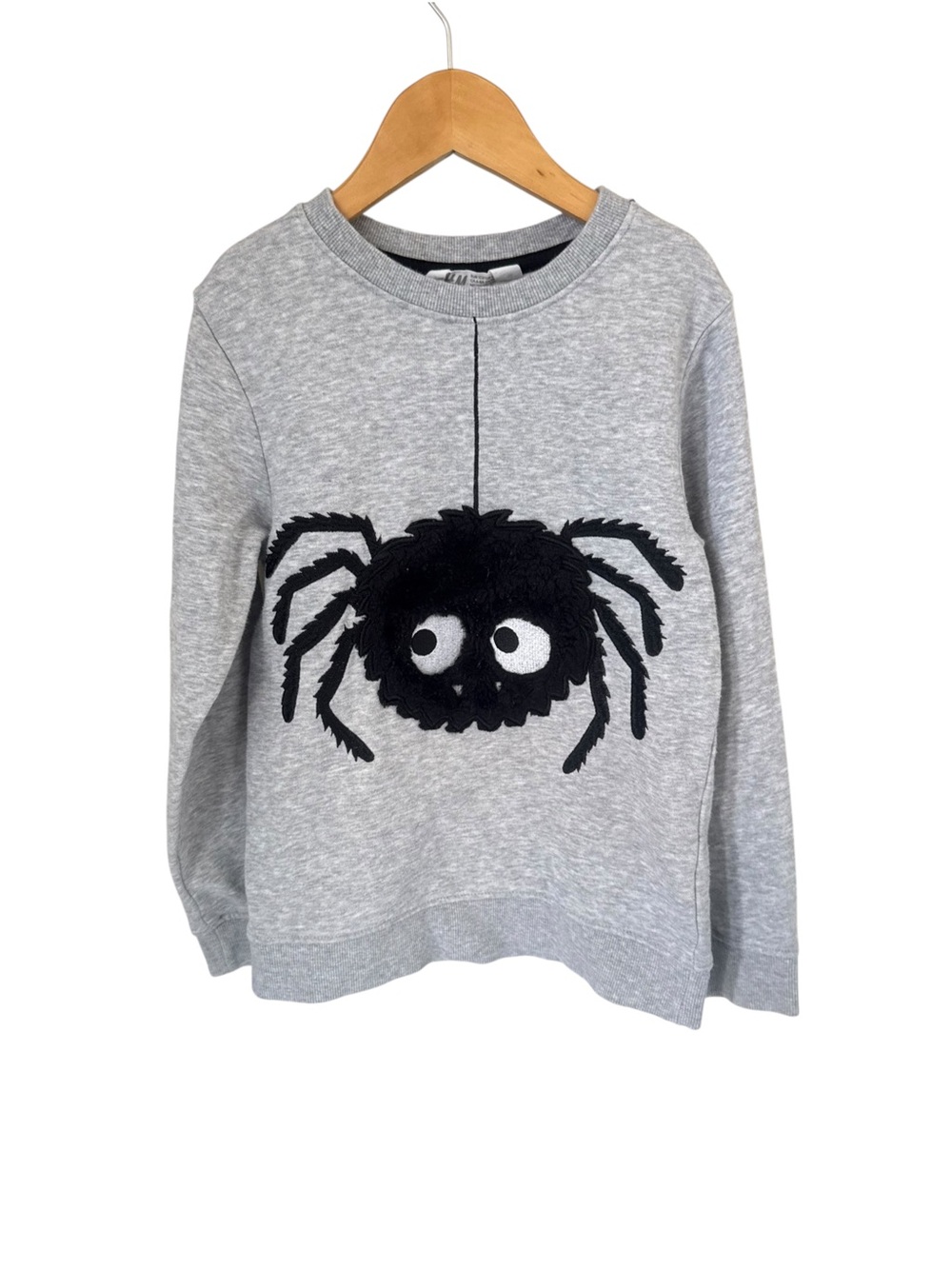 H&M Gray Crewneck Sweater with Black Spider Motif